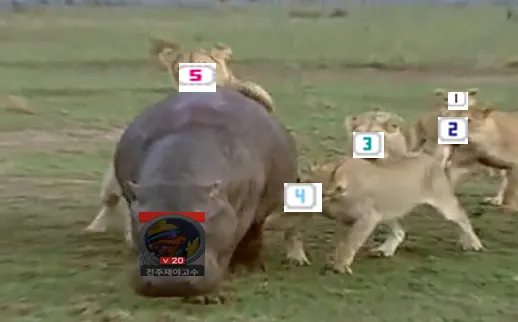 꾼포고
