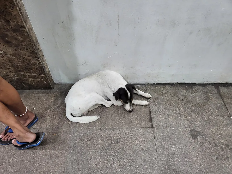KakaoTalk_20250714_154302672_07.webp