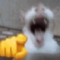 icon_1.webp